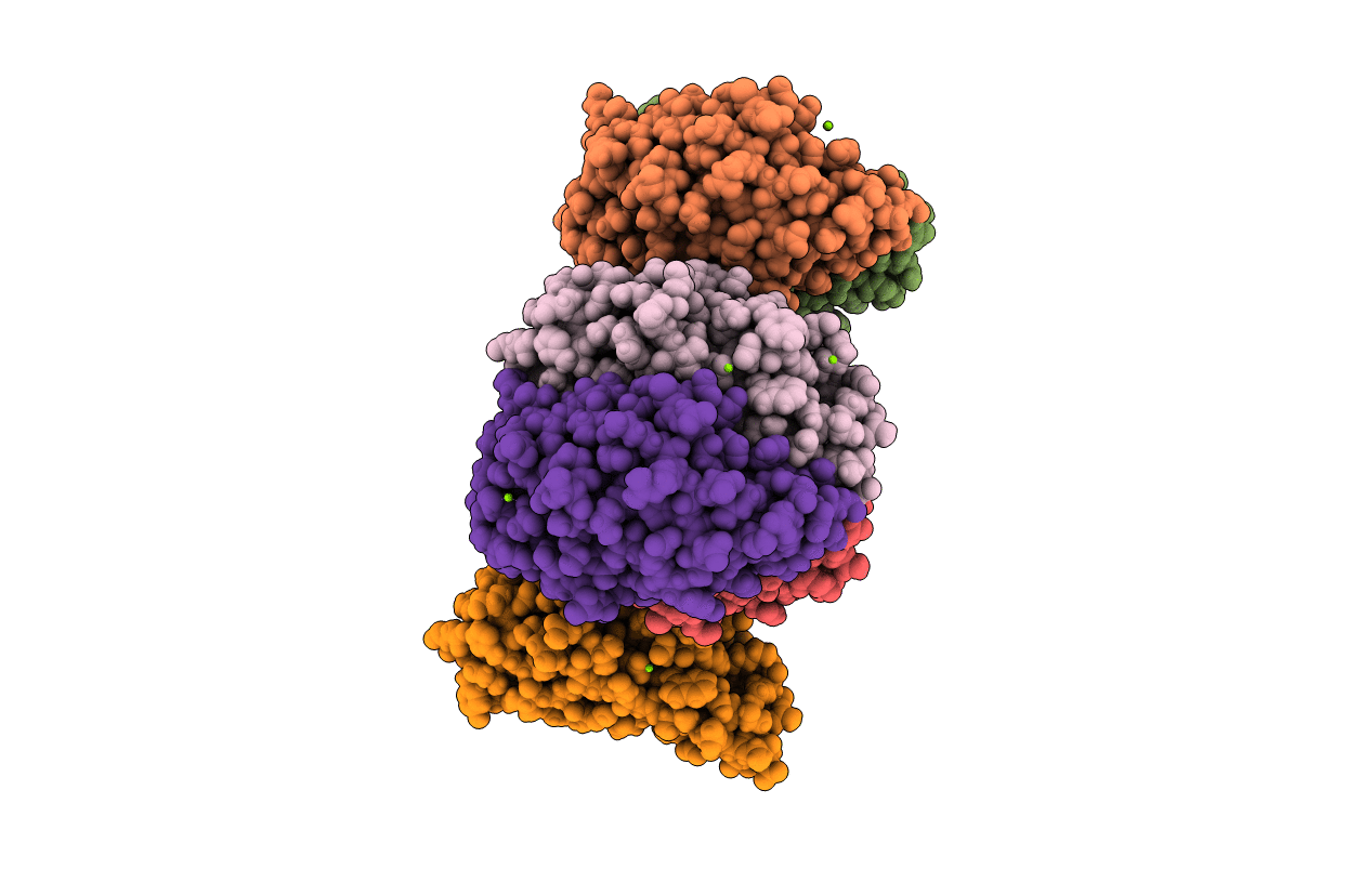 4qql image