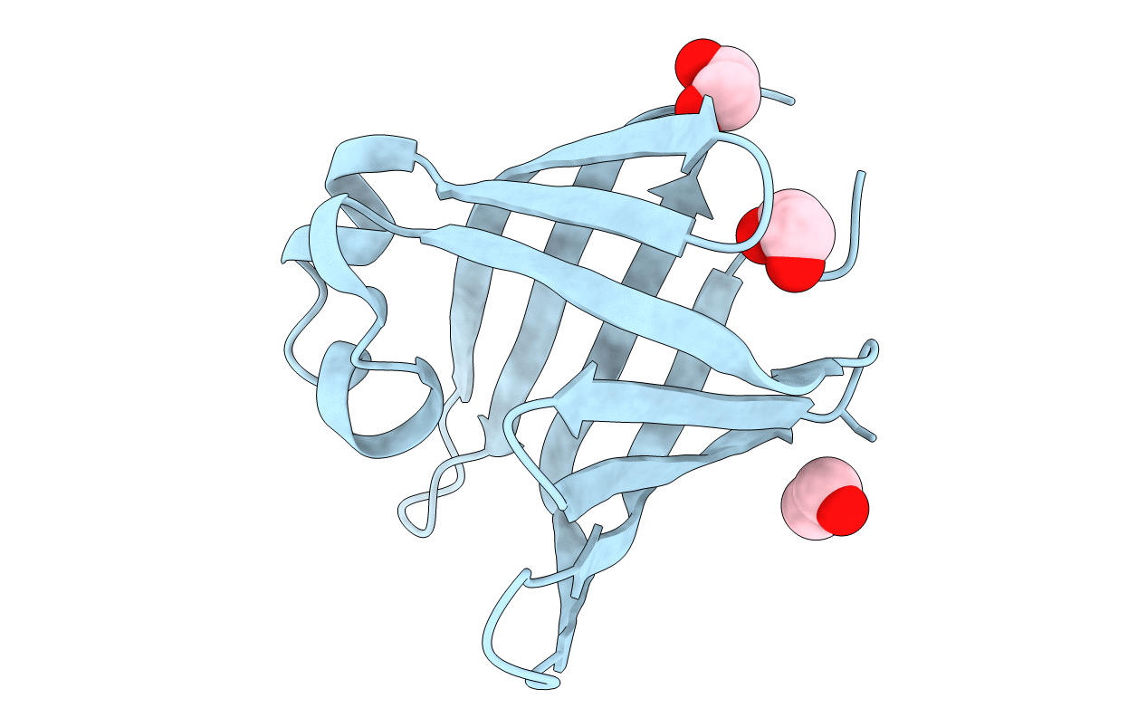 4QRL image