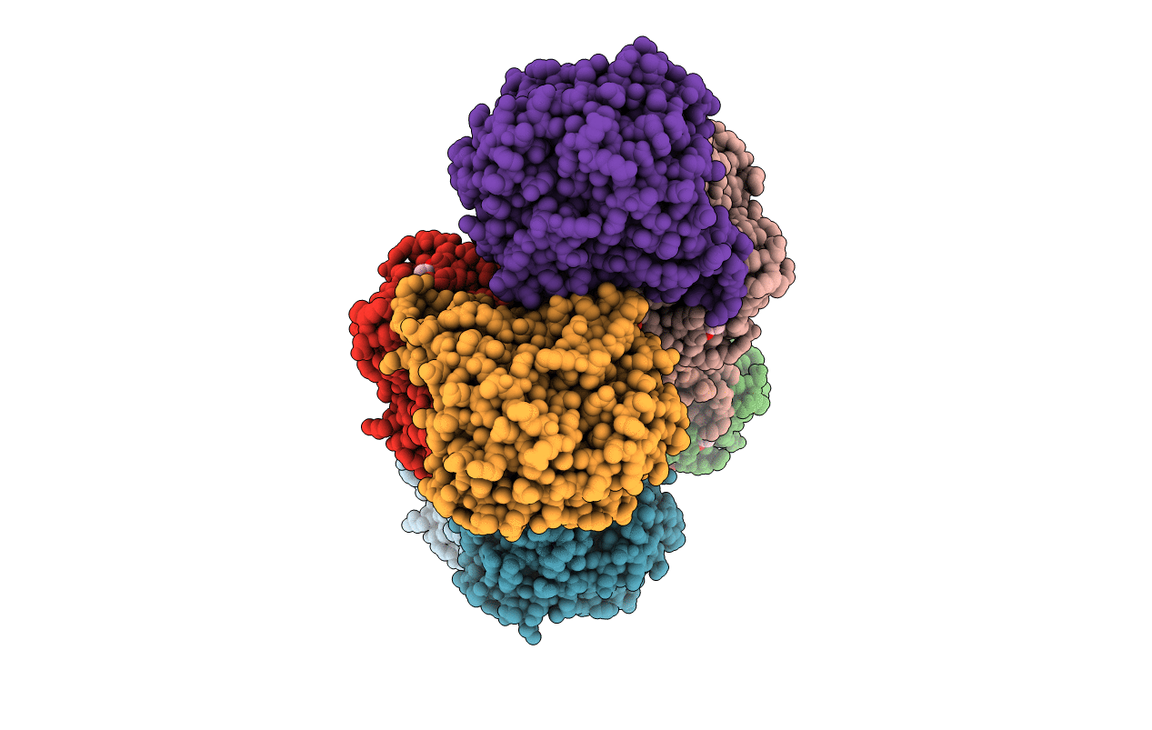 4QRO image