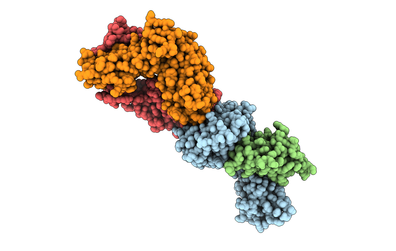 4QRR image