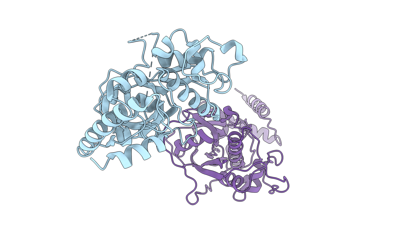 4QRX image