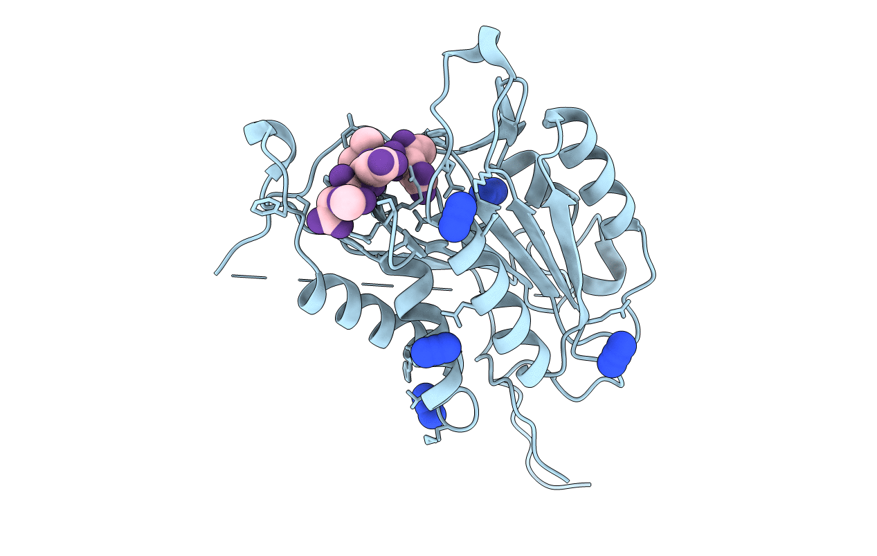 4QUB image