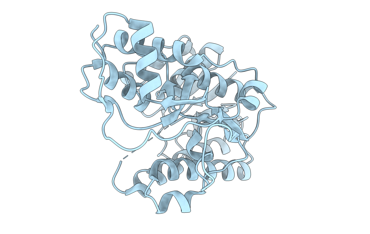 4QUK image