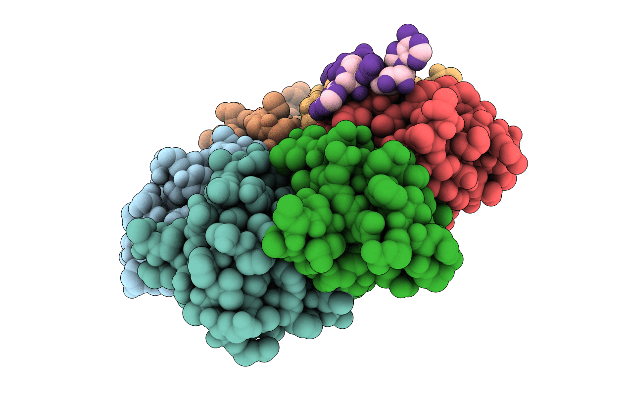 4QVD image