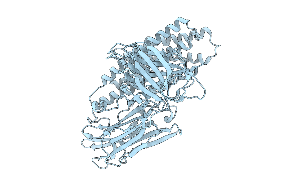 4QX2 image