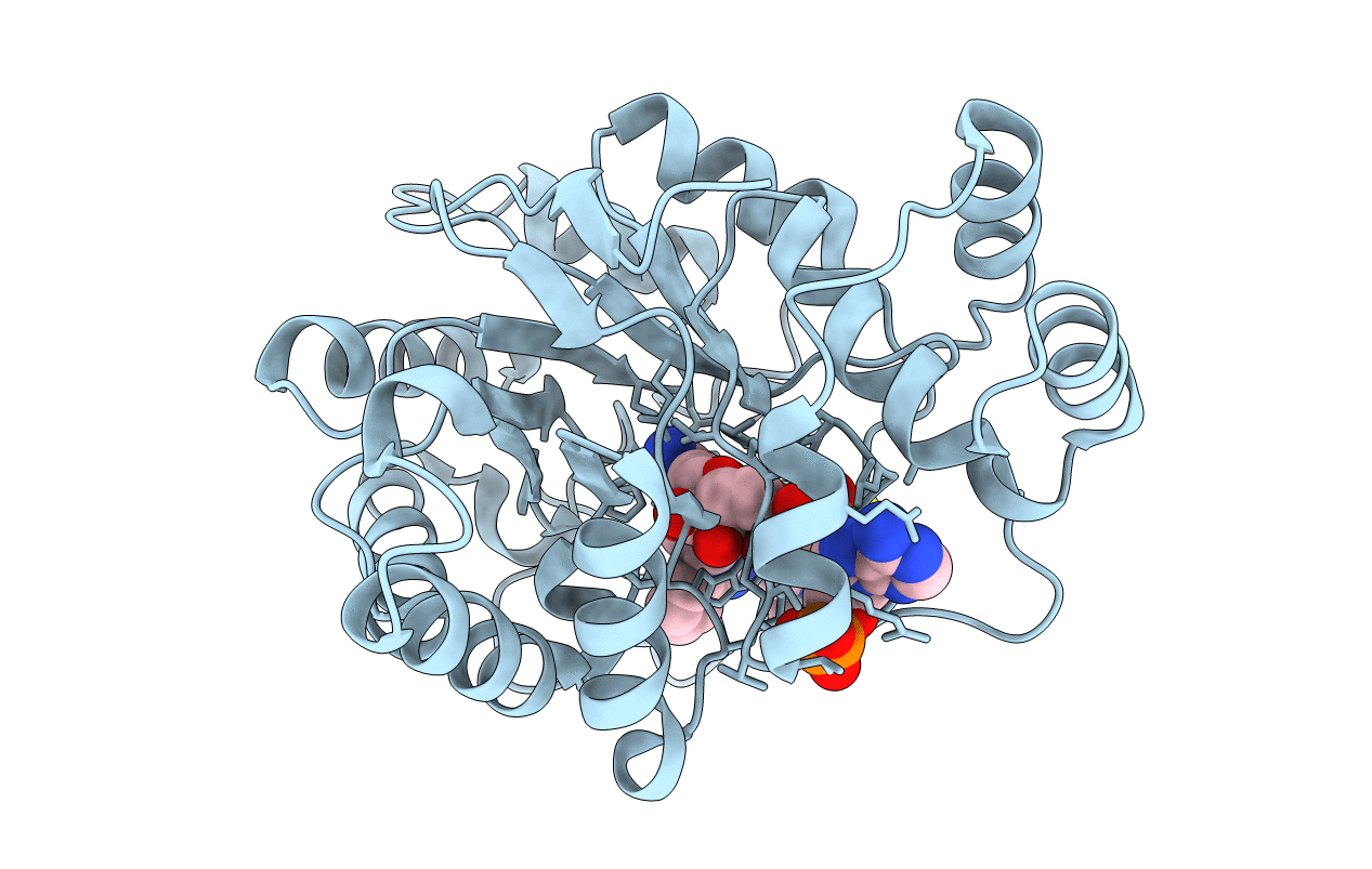 4QX4 image
