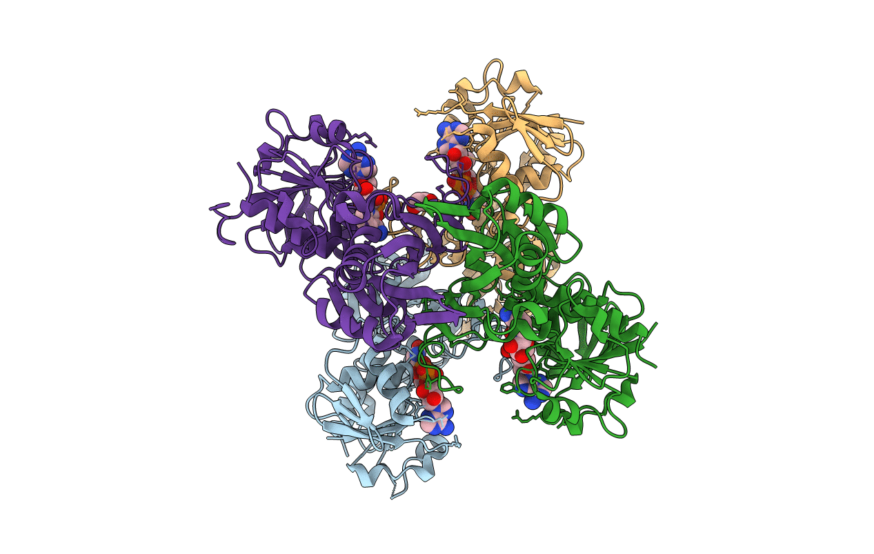 4QX6 image