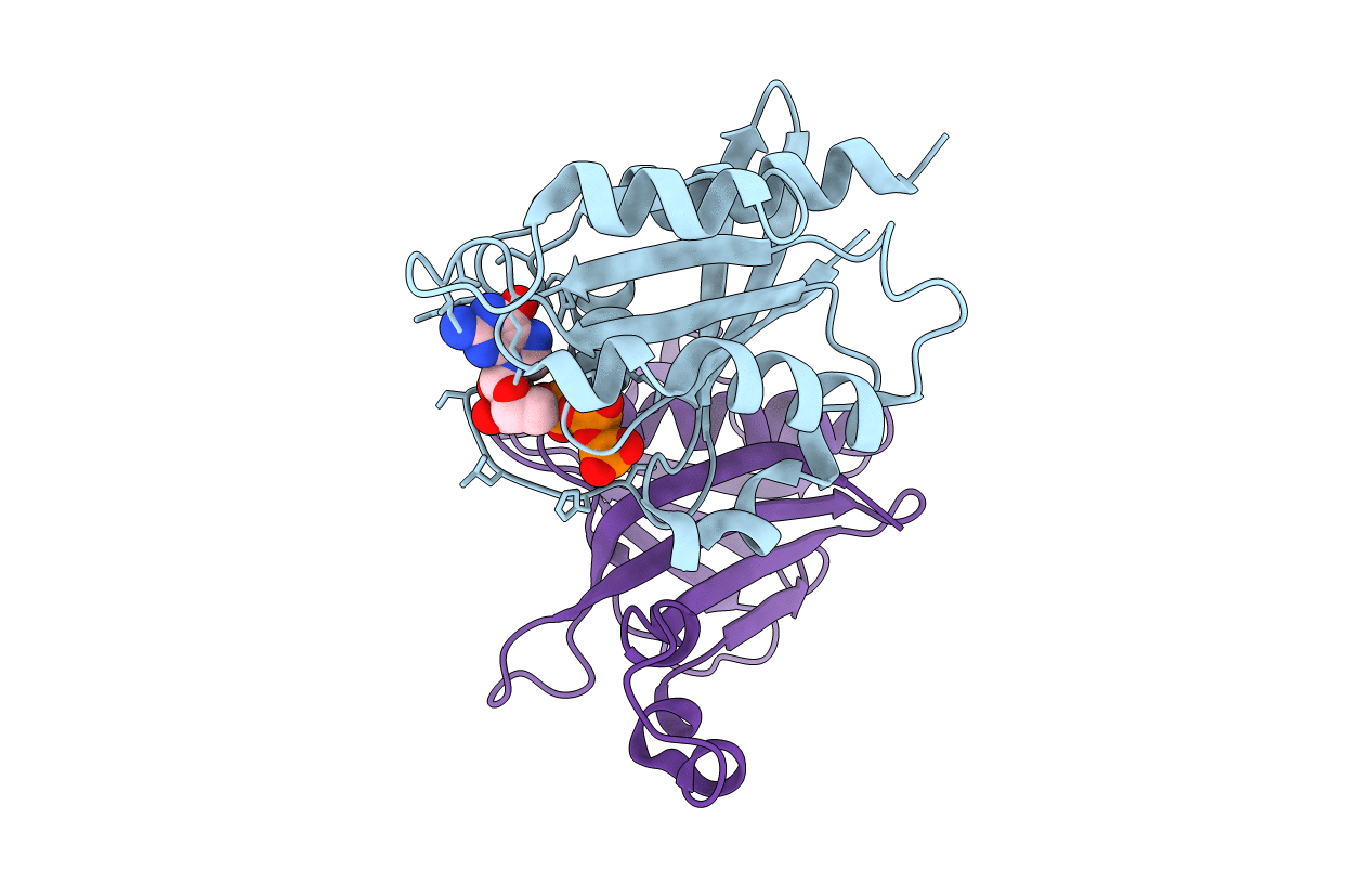4QXA image