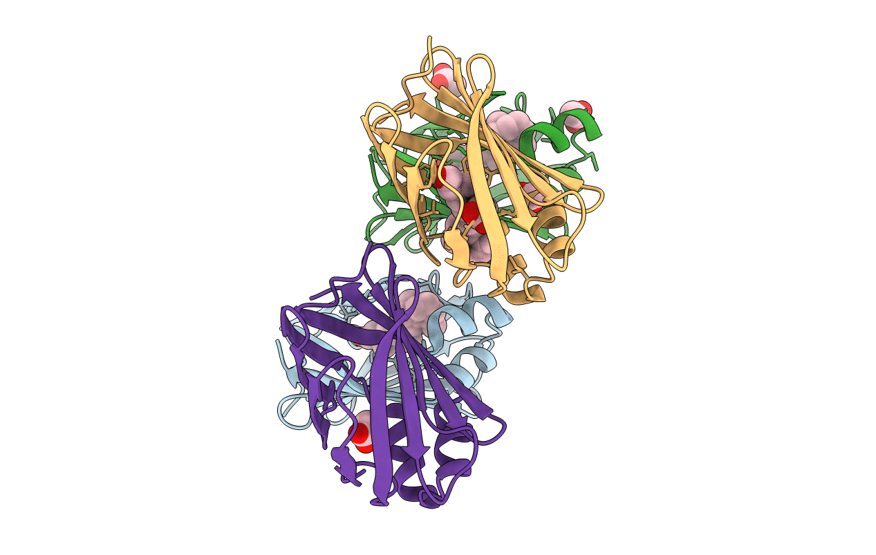 4QYP image