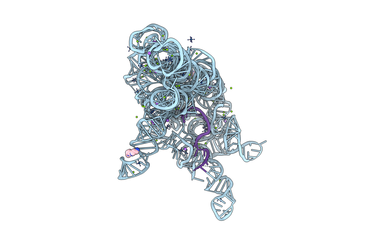 4R0D image