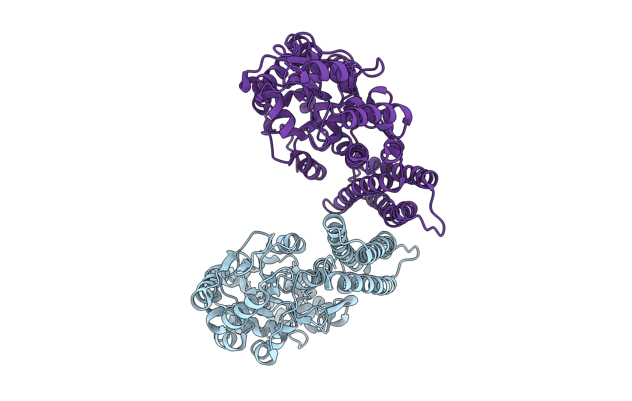 4R0Y image
