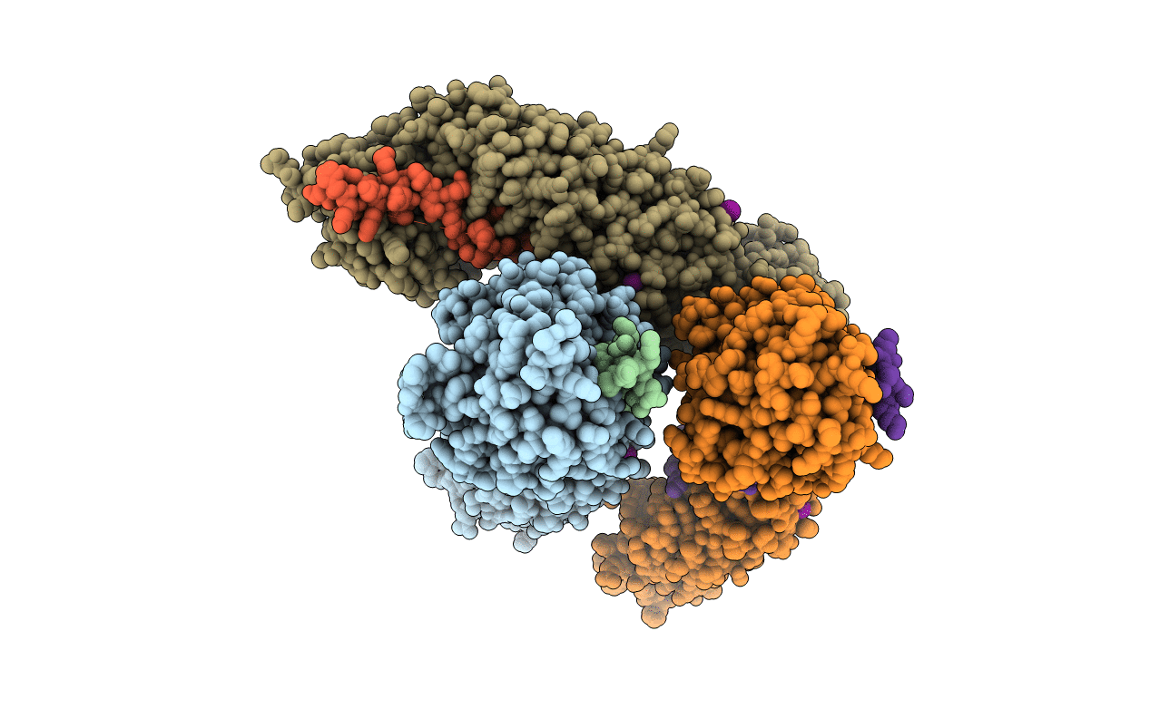 4R11 image