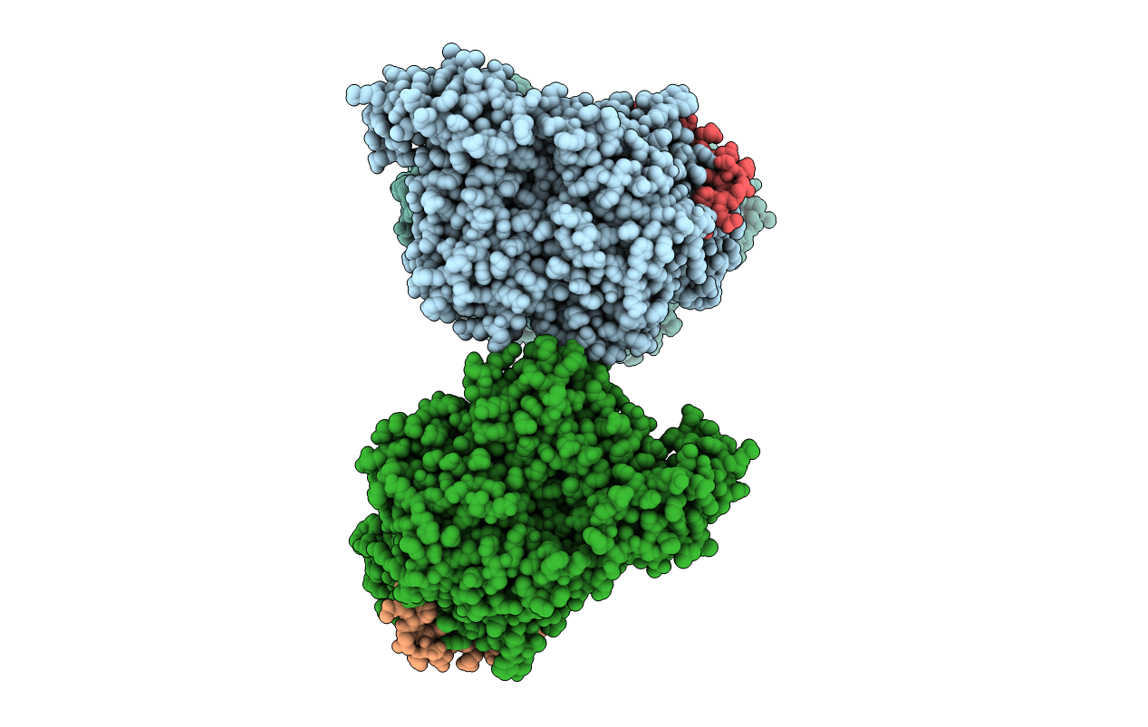 4R1R image
