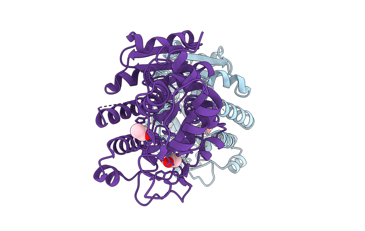 4R1U image