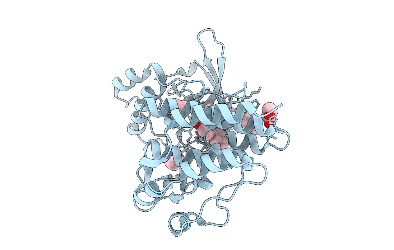 4R1V image