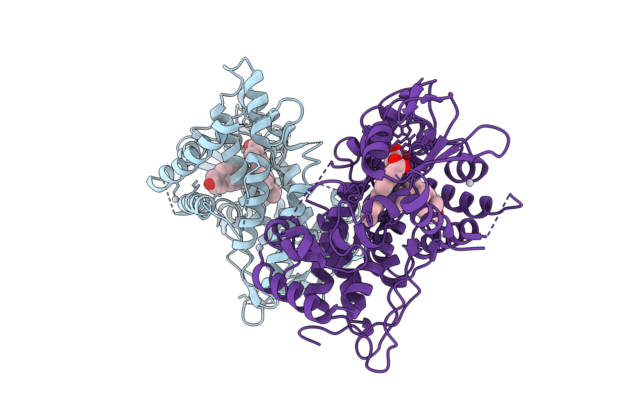 4R20 image