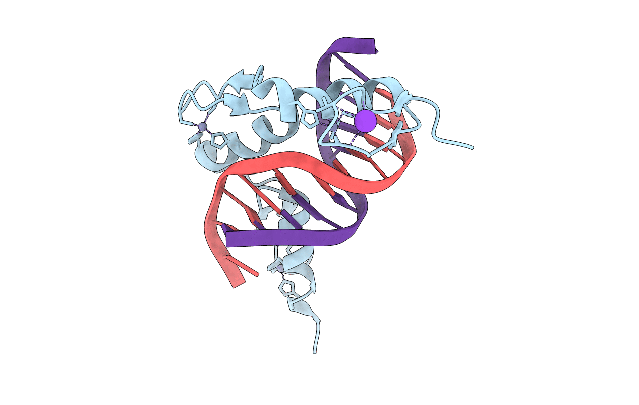 4R2C image