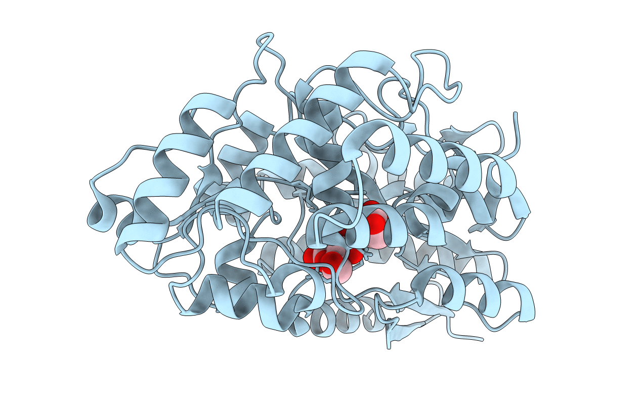 4R2F image