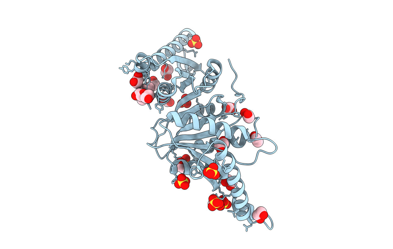 4R2K image