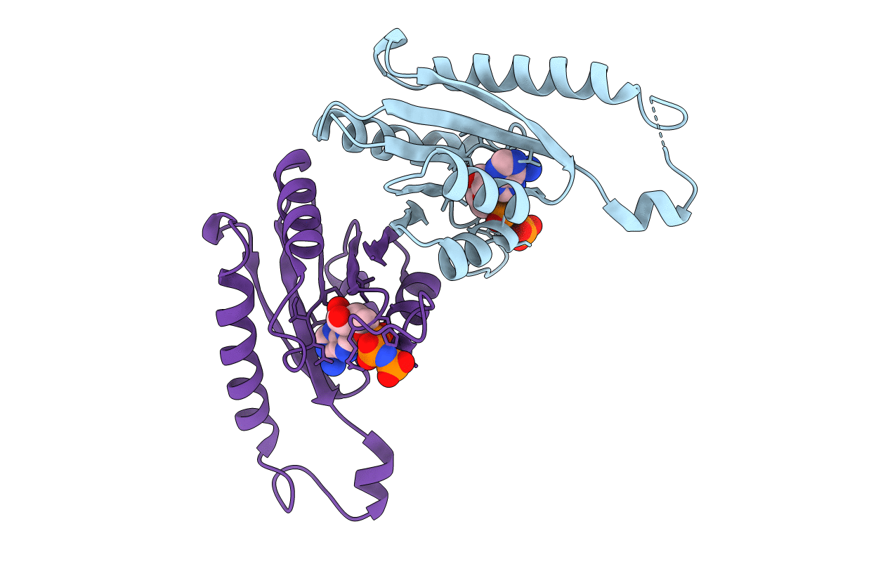 4R2M image