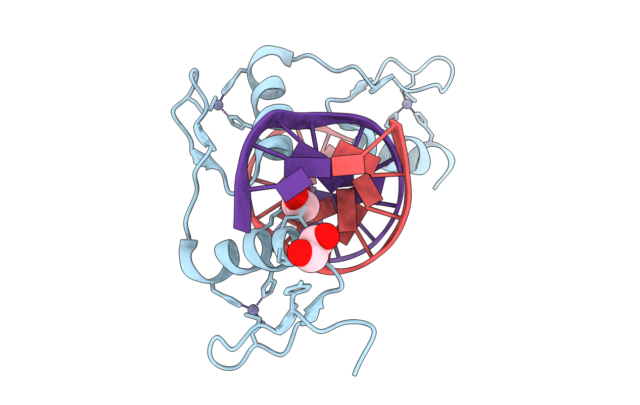 4R2P image
