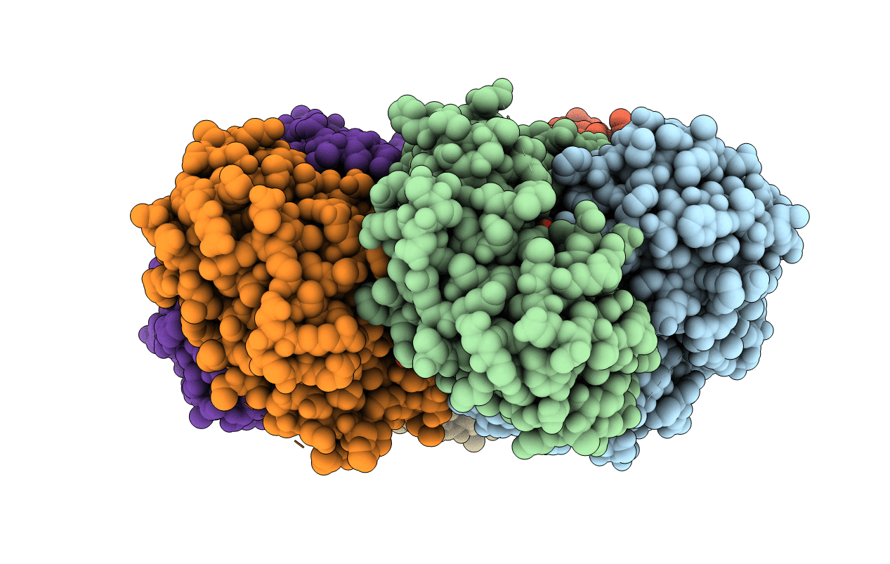 4R2W image