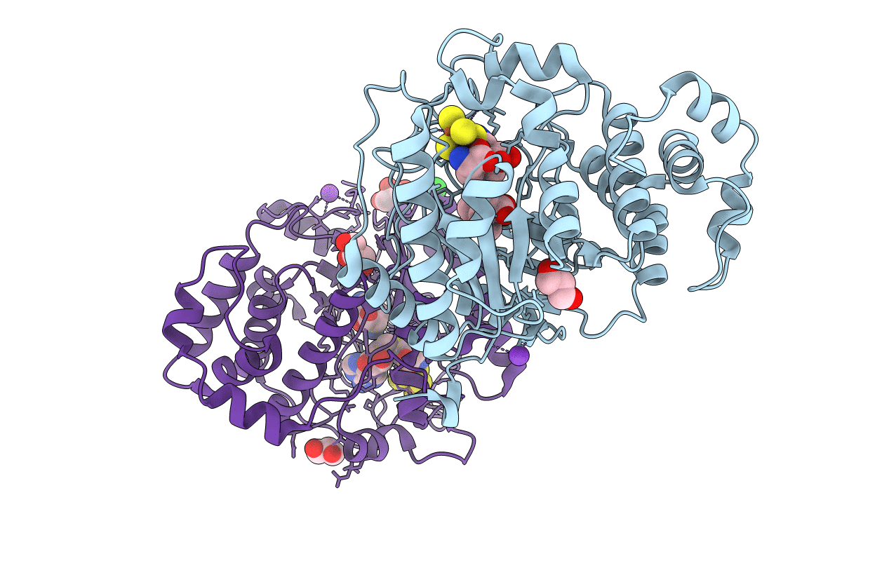 4R33 image