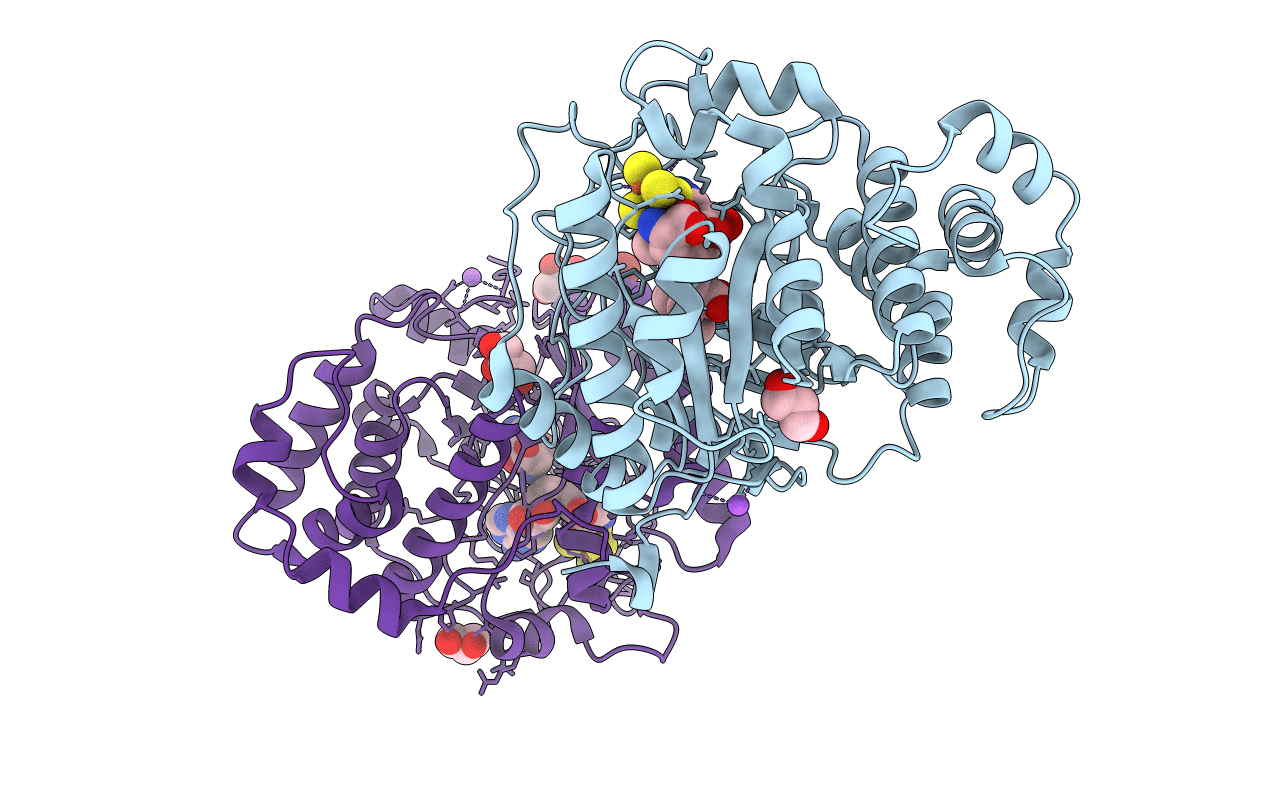 4R34 image