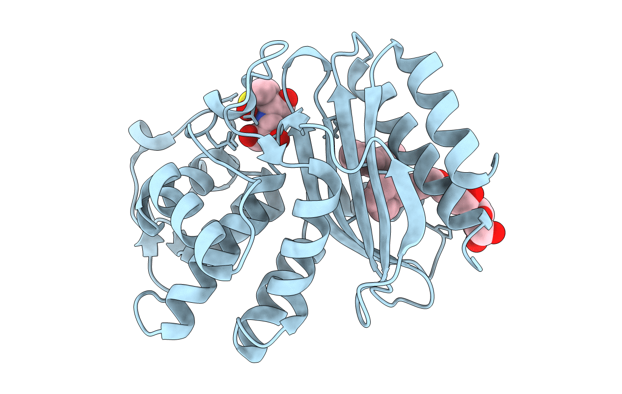 4R3B image