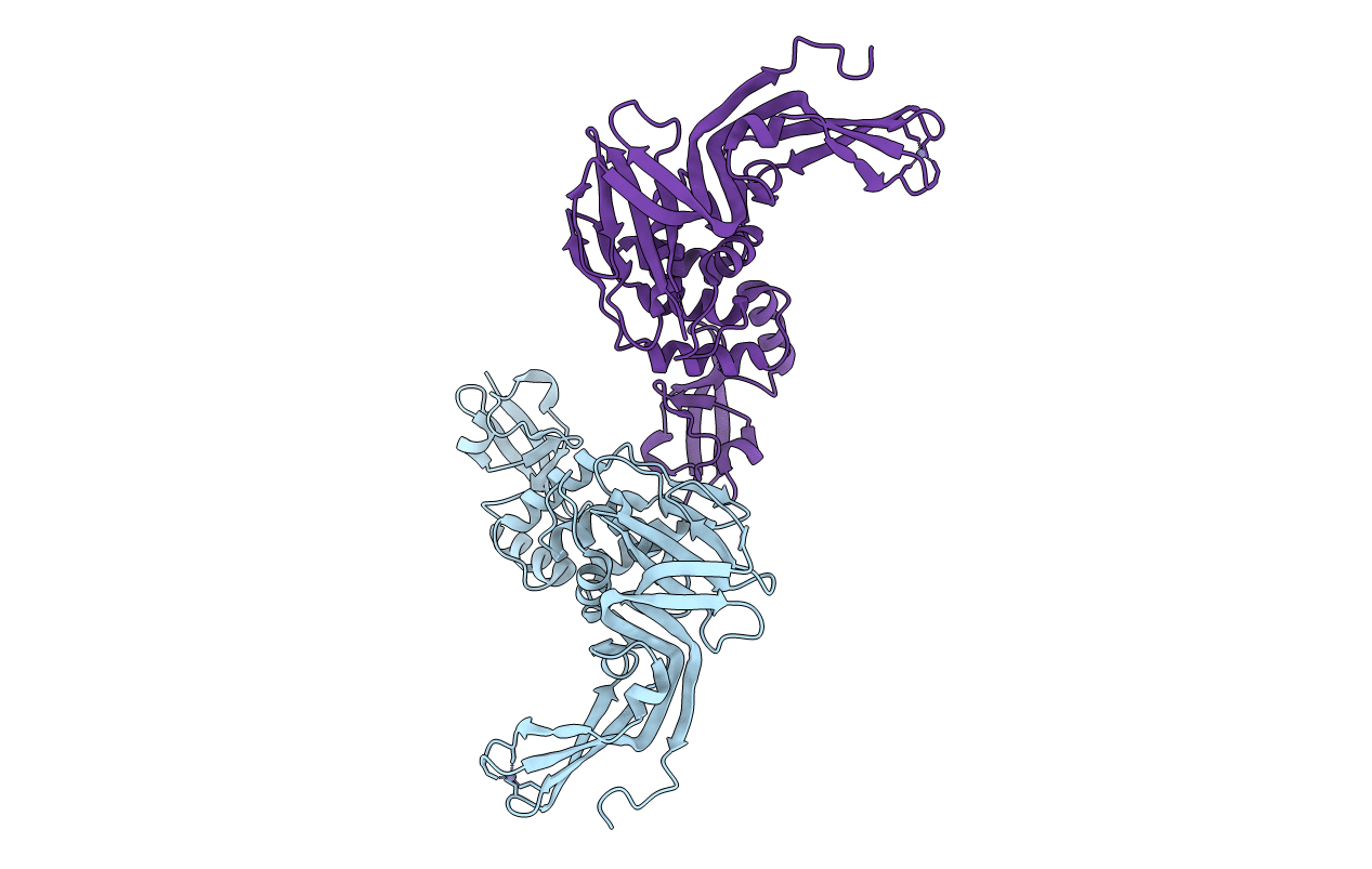 4R3D image