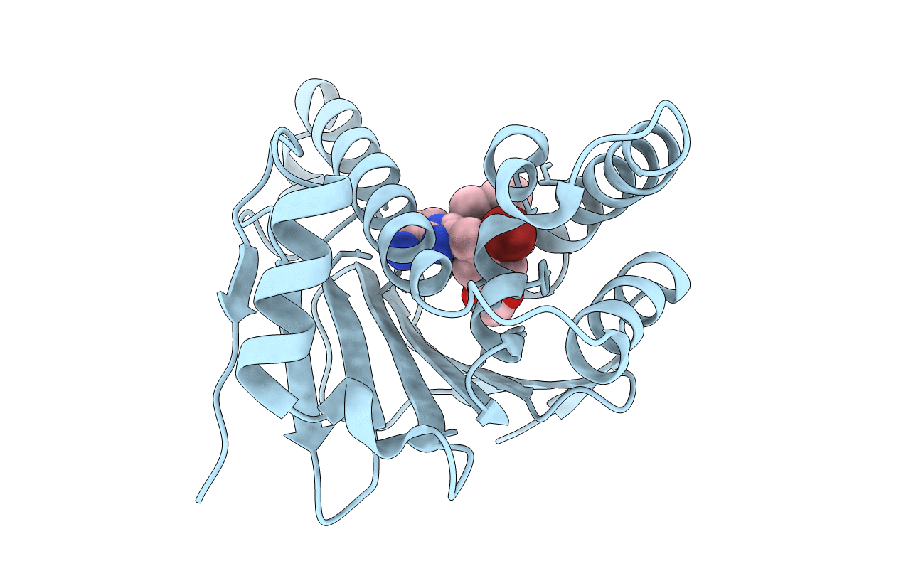 4R3M image