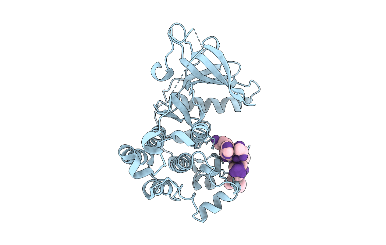 4R3P image