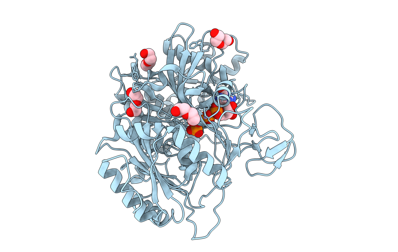 4R43 image