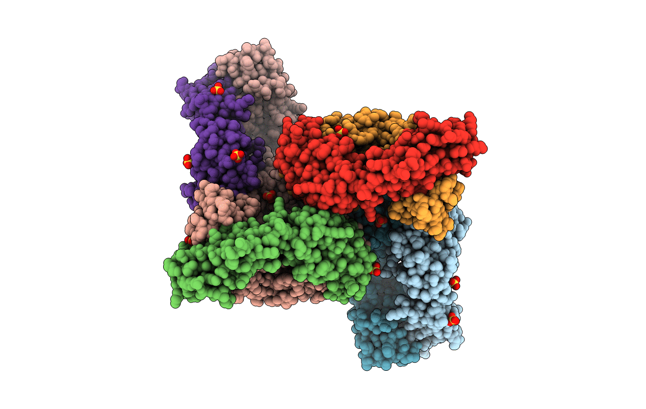 4R4B image