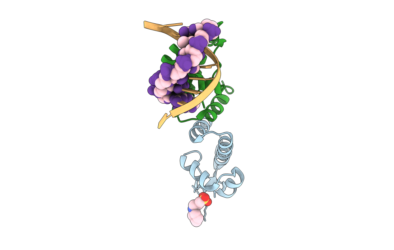 4R4E image