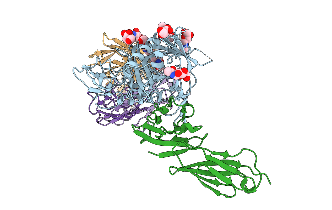 4R4H image