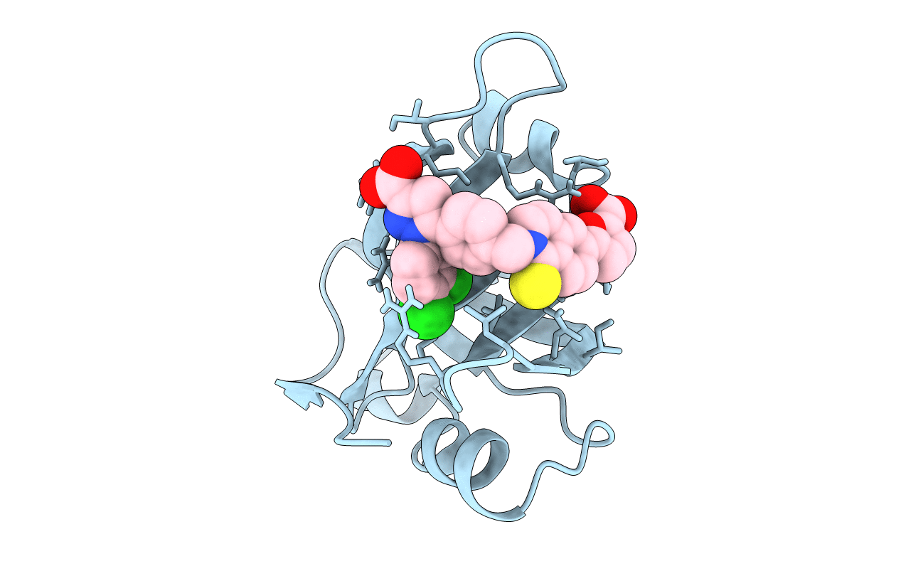 4R4I image