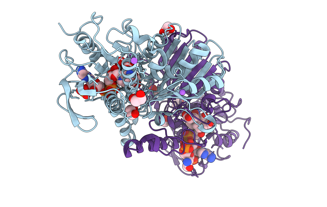 4R4J image