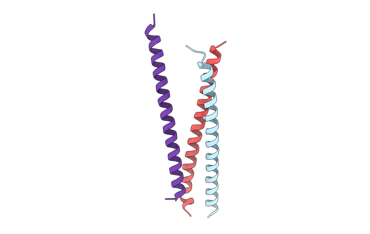 4R4M image