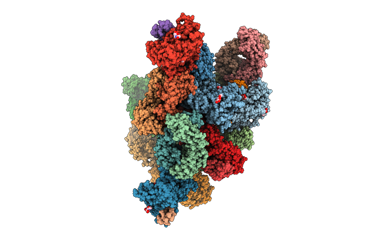 4R4N image