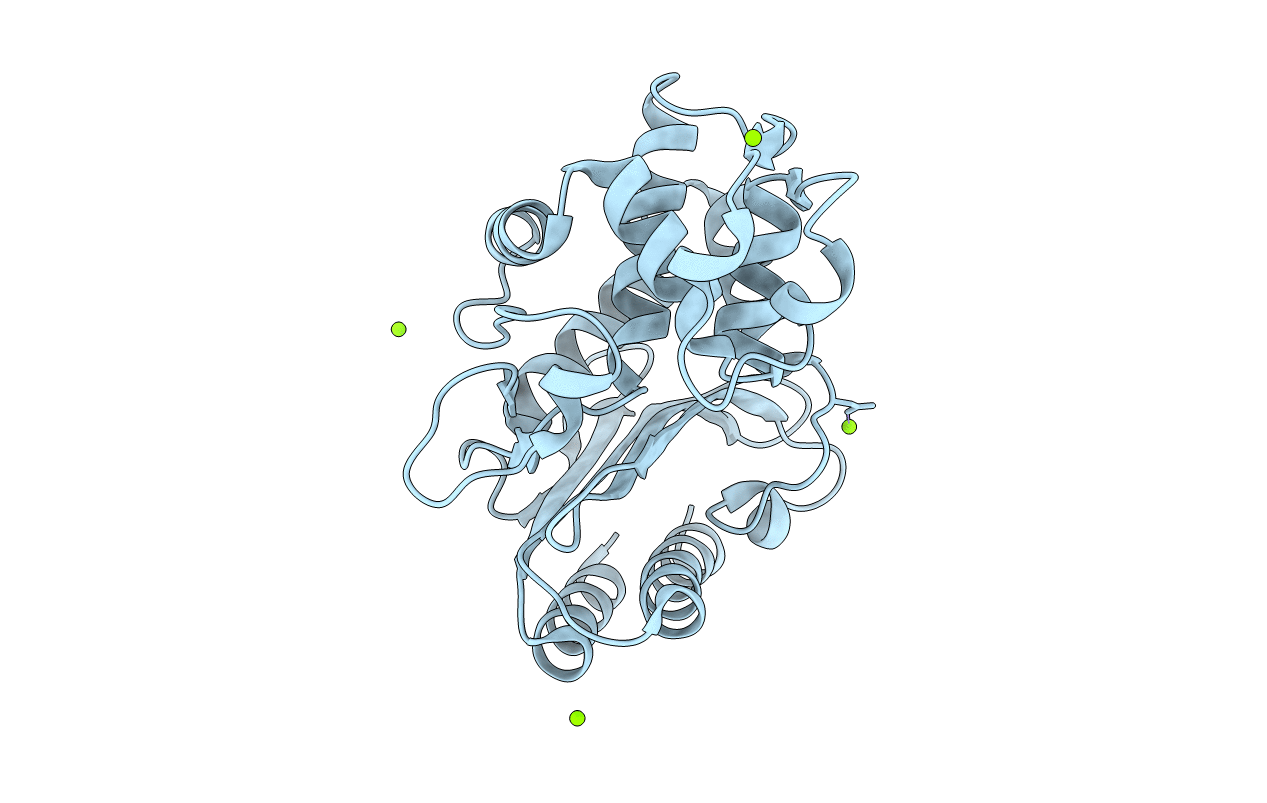 4R4S image