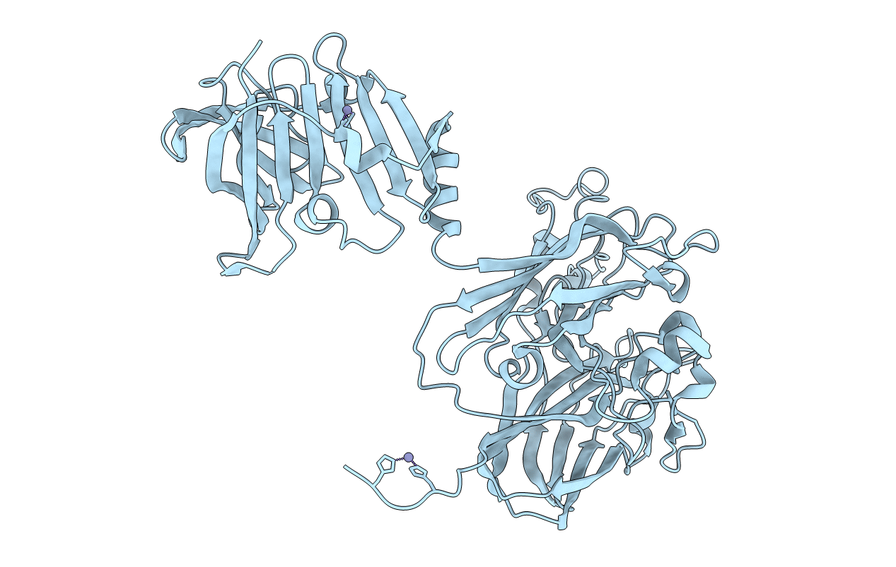 4R4X image