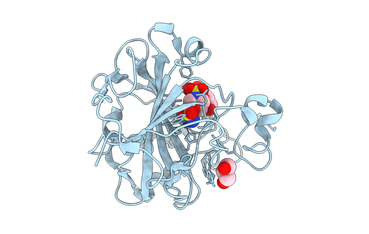 4R5B image