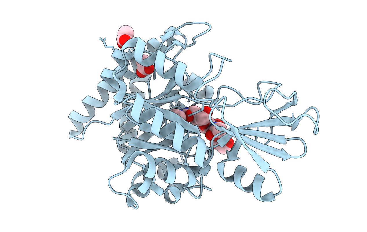 4R5E image