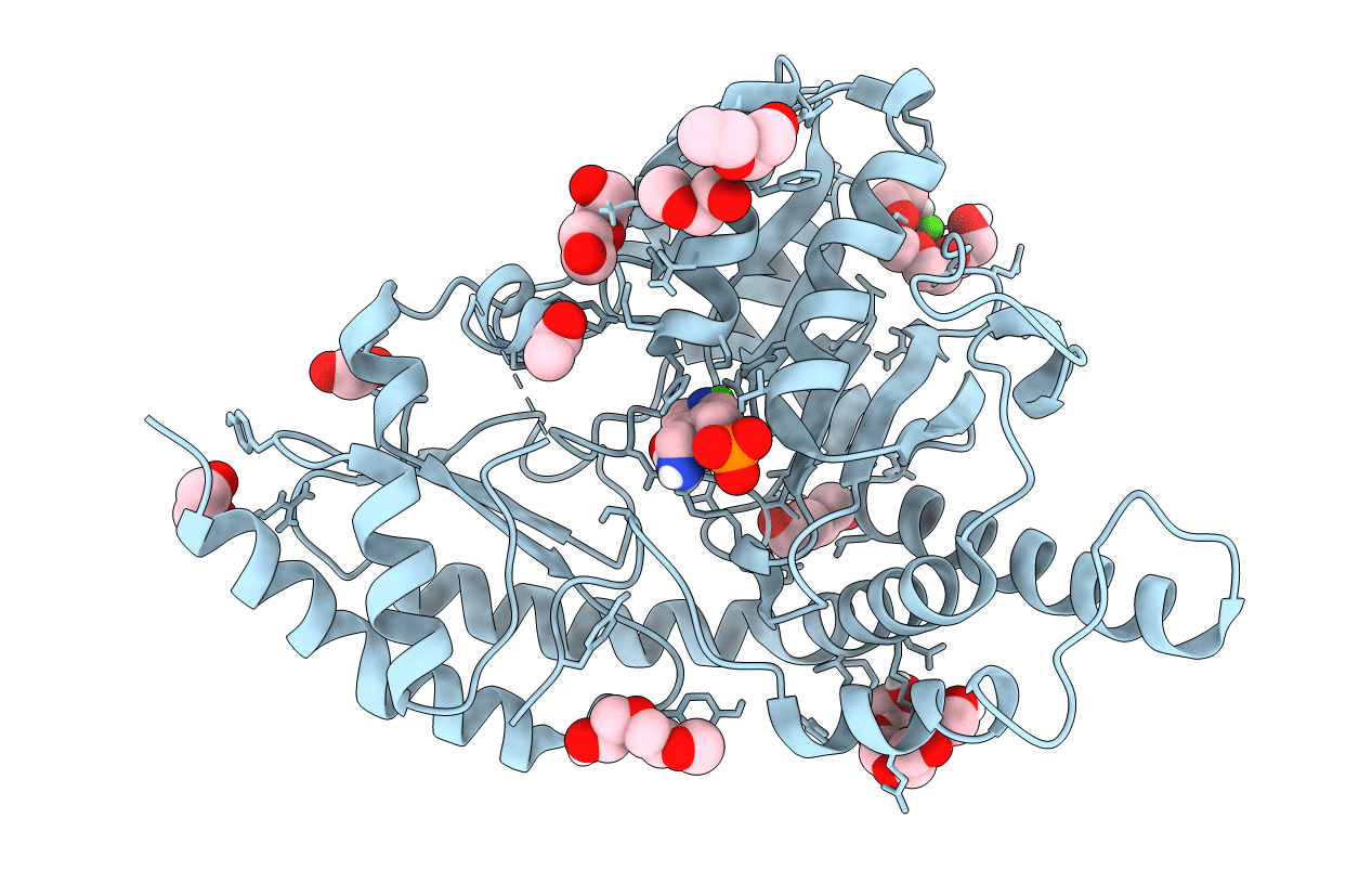 4R5F image