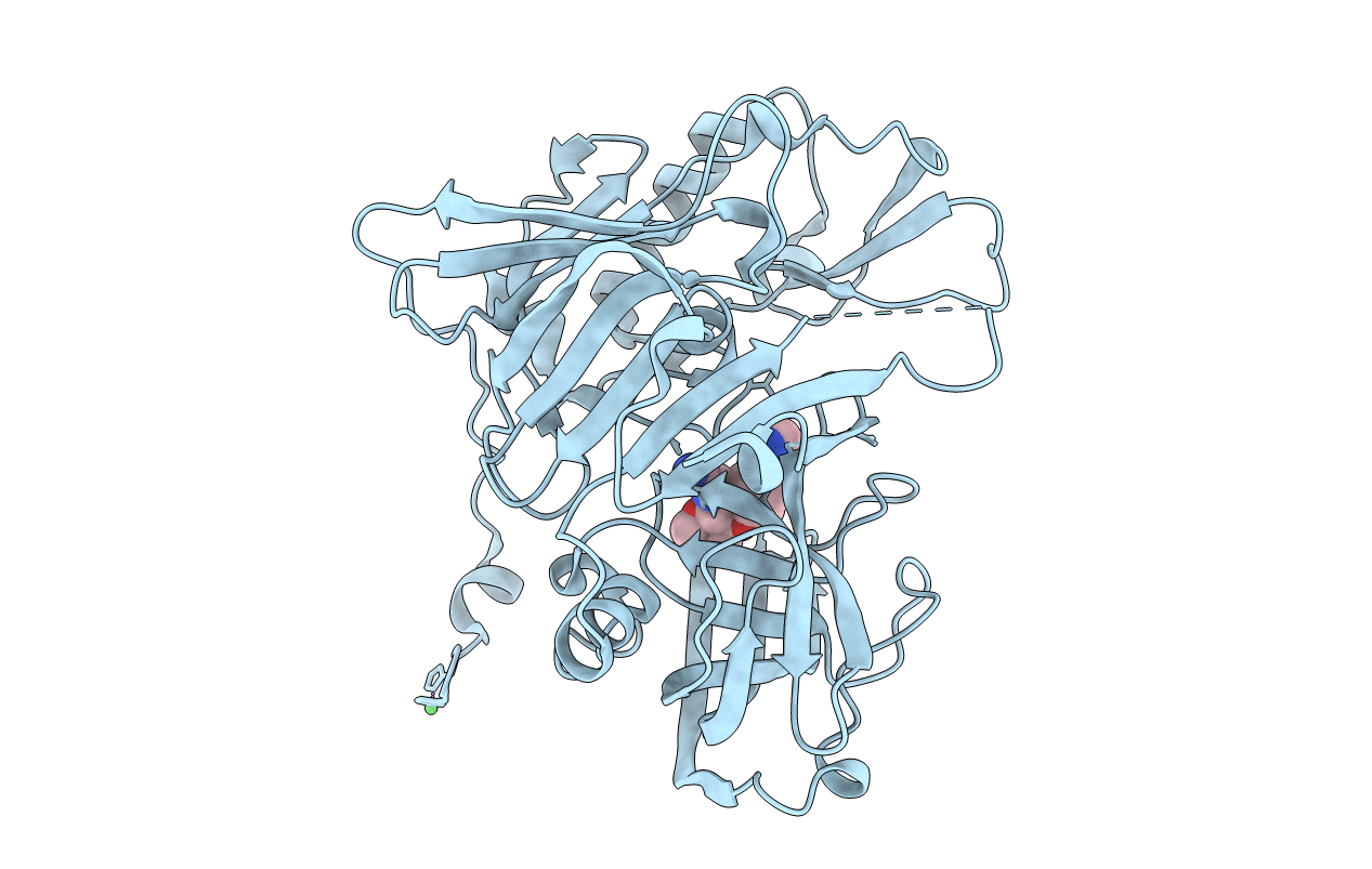 4R5N image