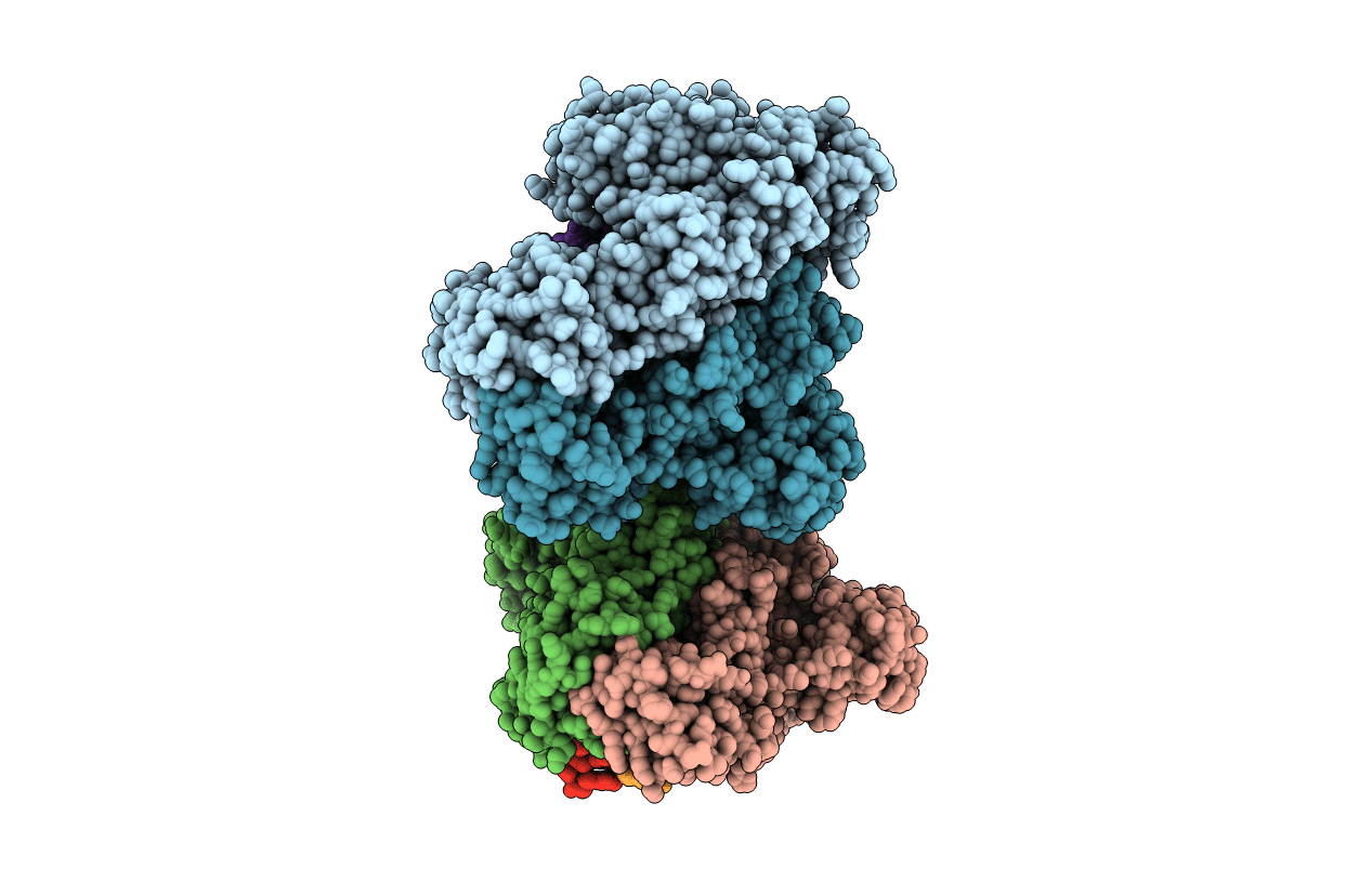 4R5P image