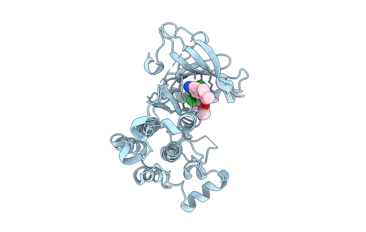 4R5S image