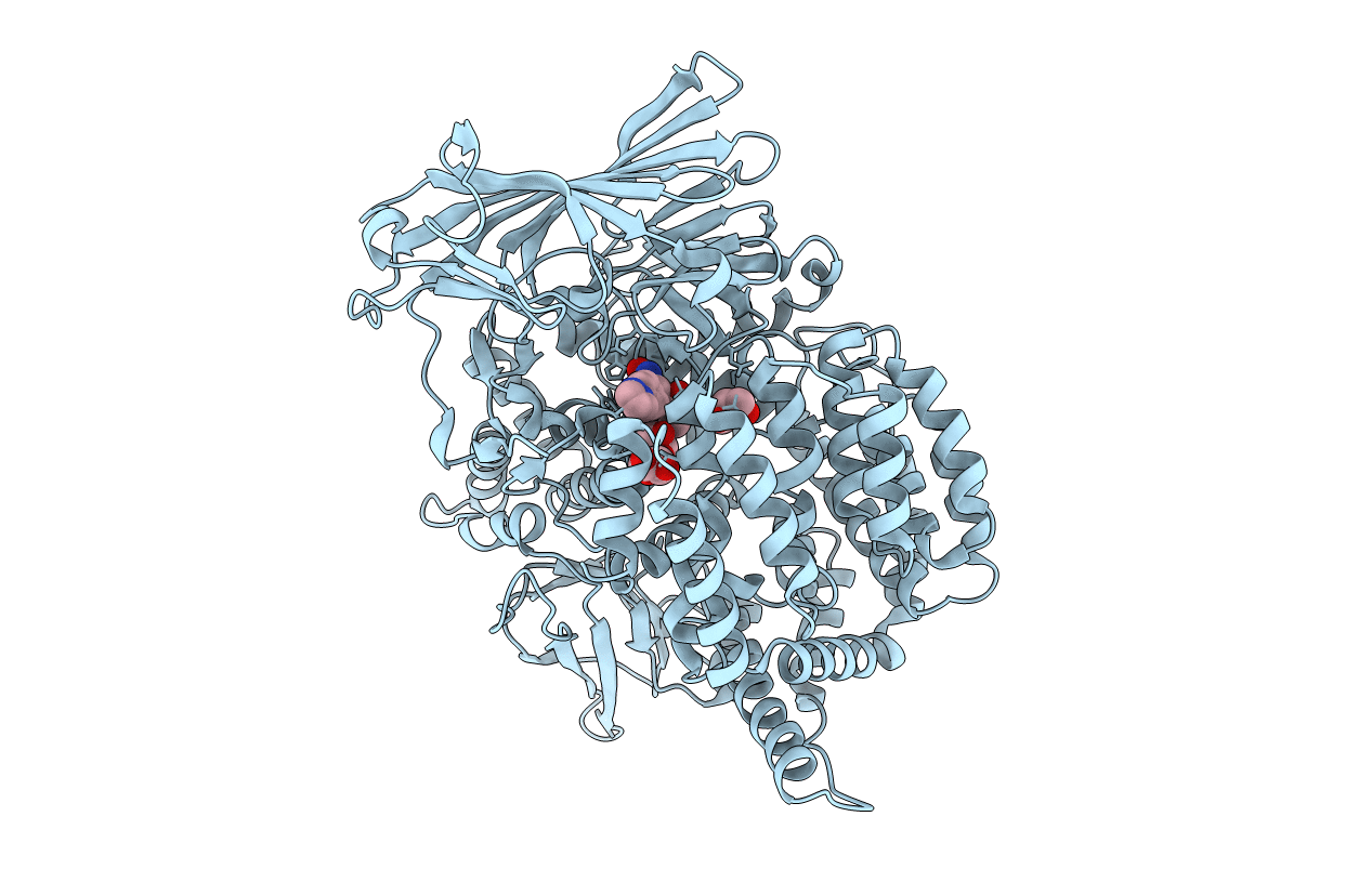 4R5V image