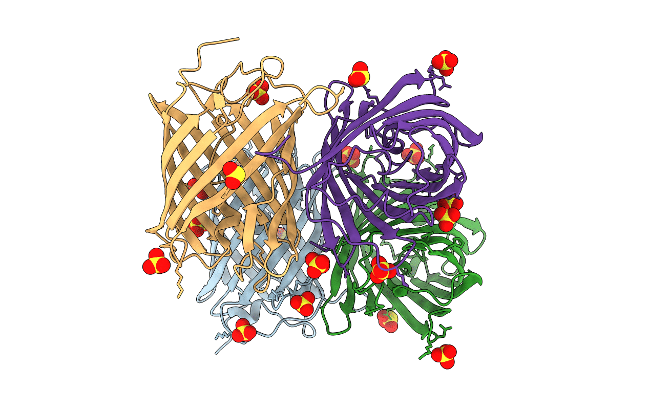 4R6B image